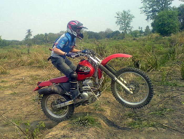 Paddyfield1.jpg