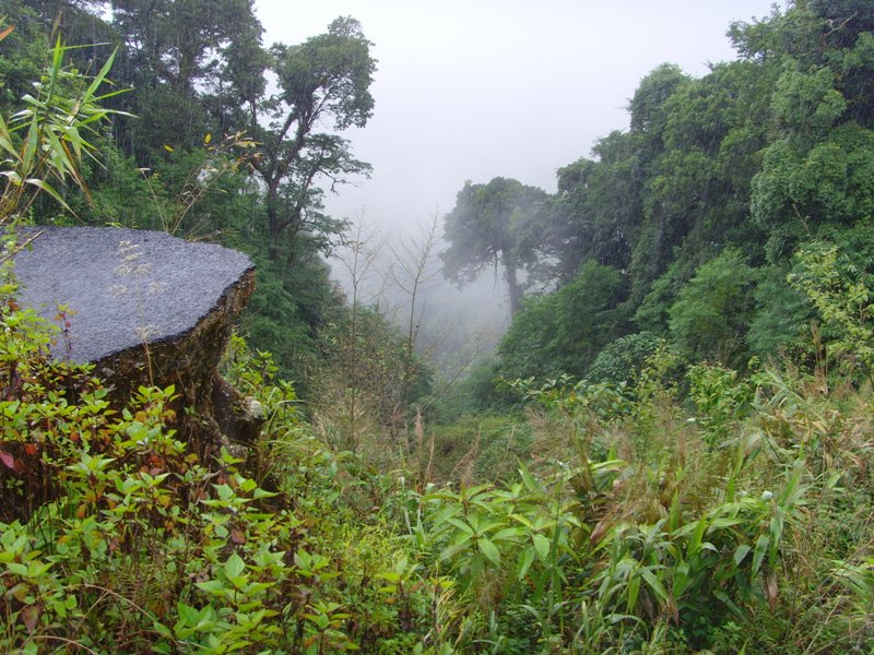 Pahampok 14.jpg