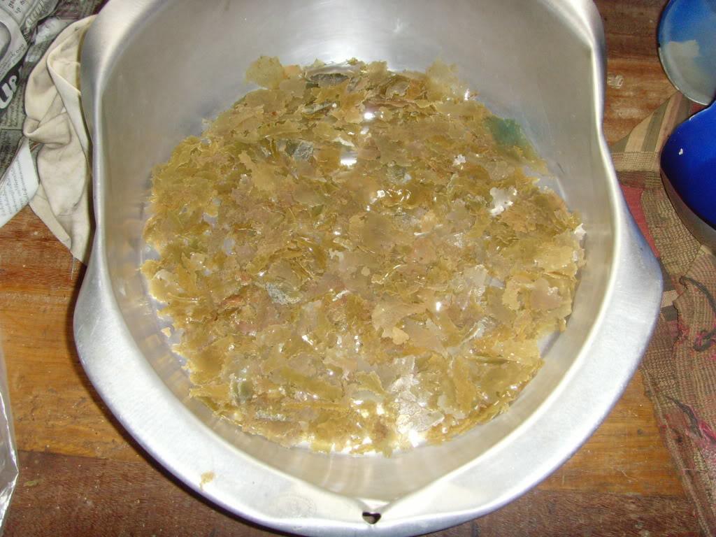 Petseal.jpg