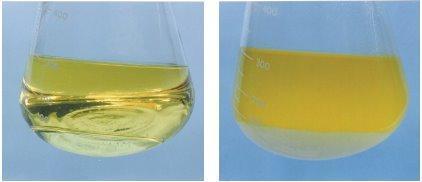 Phase+Separation+in+Gasoline.jpg