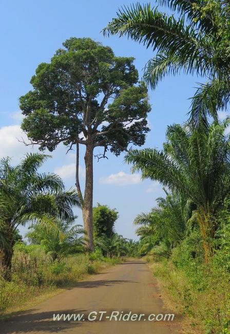 PhaSouamWF-GTR-IMG_1589.jpg