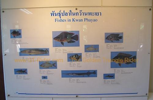 phayao-cultural-exhibition-hall-007.jpg