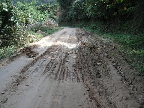 PICT00011215.jpg