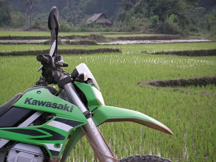 PICT0128.jpg