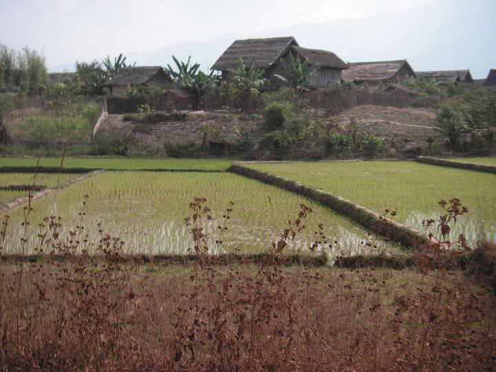 PICT0132.jpg