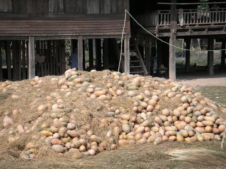 PICT0134.jpg