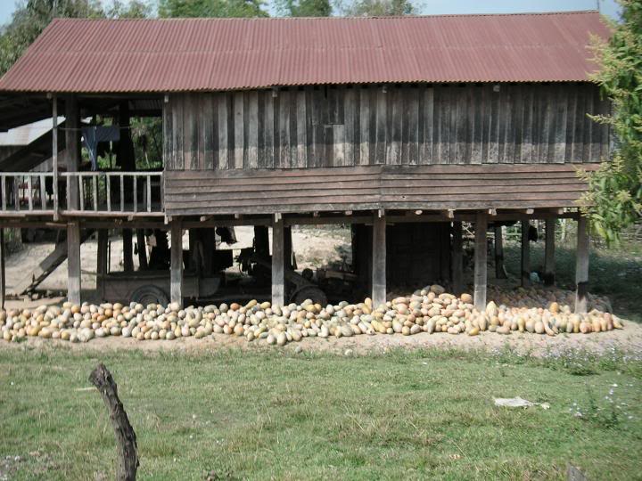 PICT0137.jpg