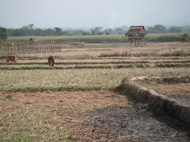 PICT0138.jpg