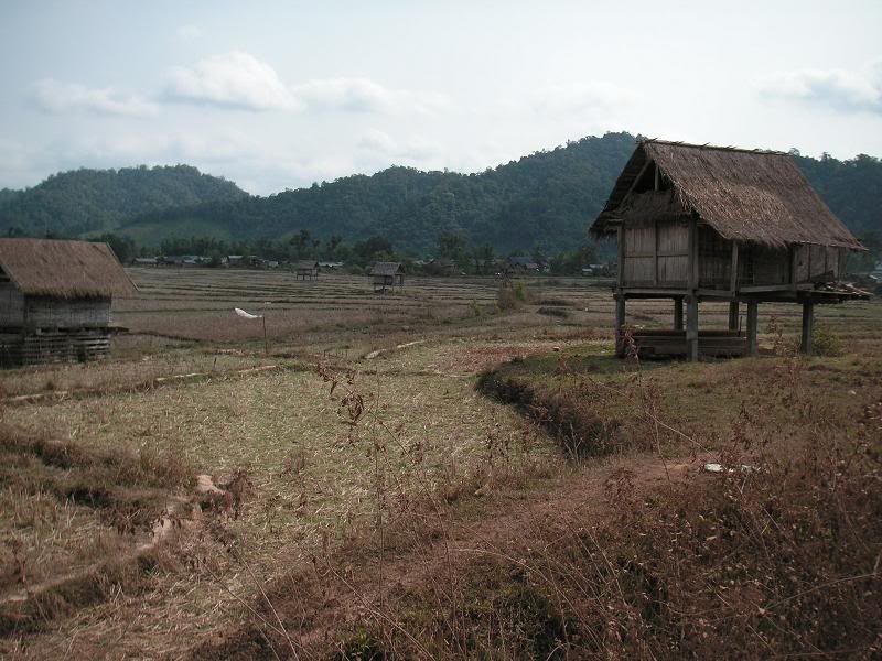 PICT0140.jpg