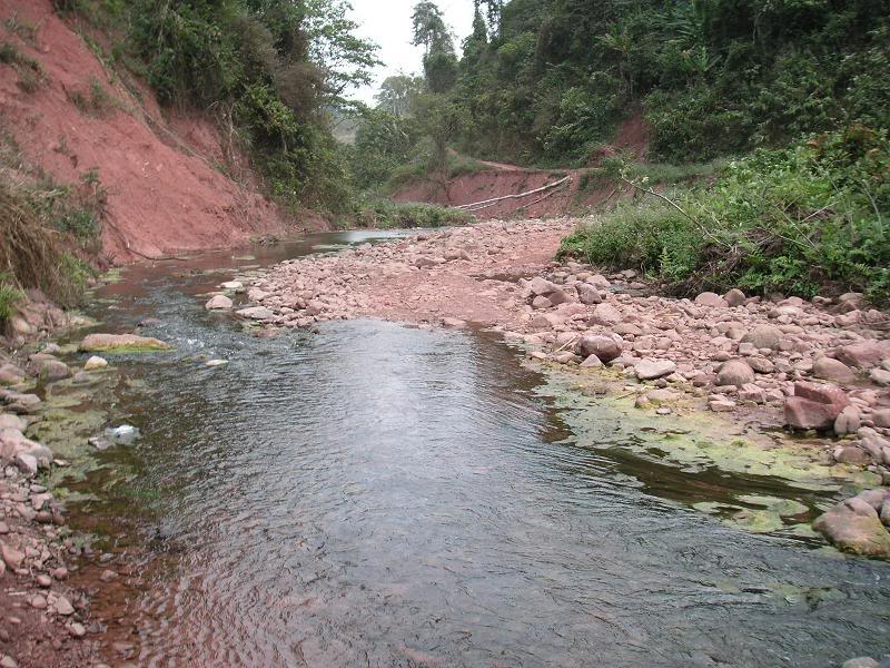 PICT0147.jpg