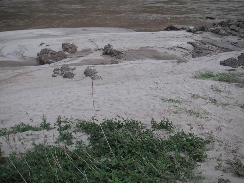 PICT0464.jpg