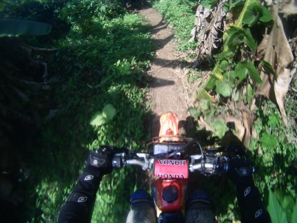 PICT0620_zpsc449ed54.jpg