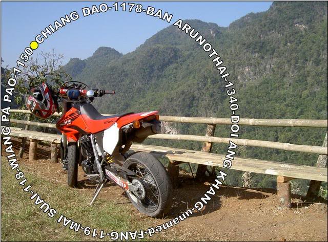 Picture3.jpg