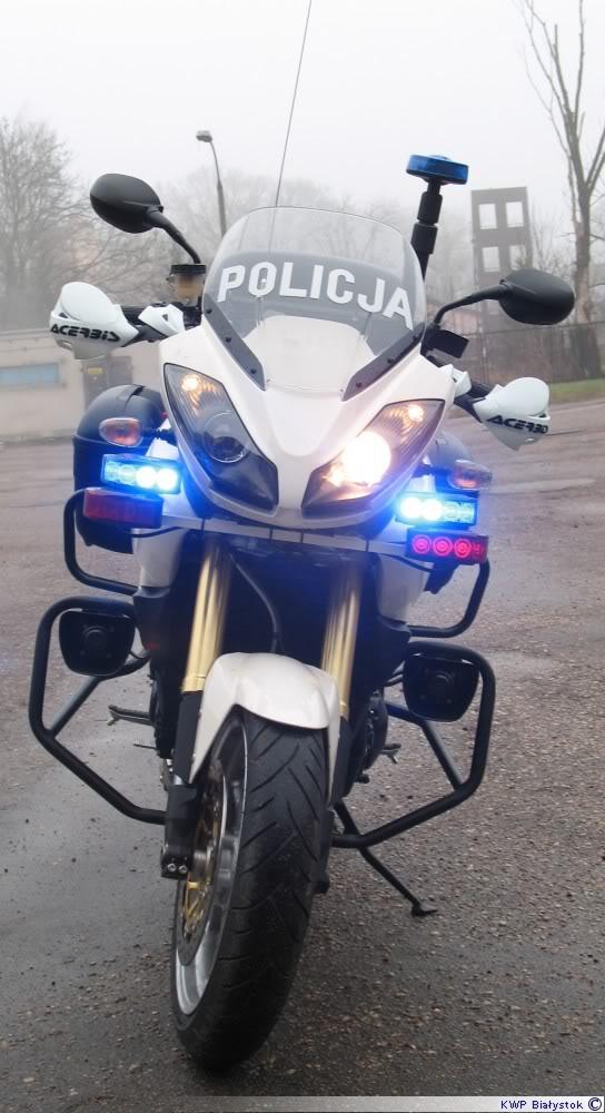 PolishPolice3.jpg
