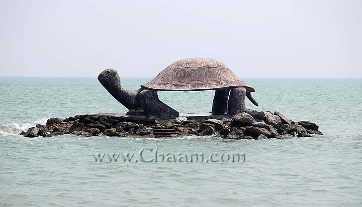 puek-tian-turtle_zps891e5f99.jpg