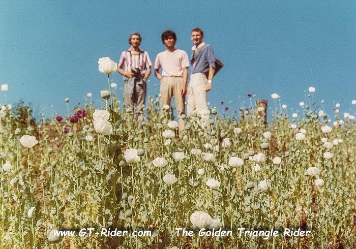 ray%20&%20Biek,%20Ang%20Khan%20-%20Opium%20poppy%20fields,%20North%20west%20of%20Chiang%20mai-64.jpg