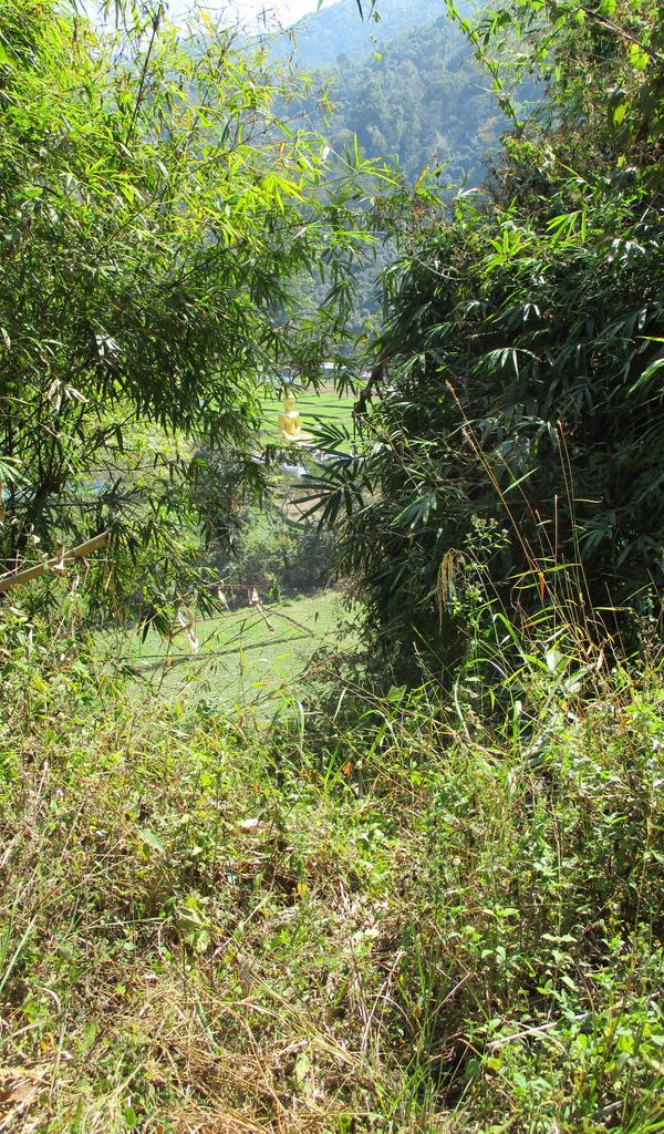 route-1024-phrae-2.jpg