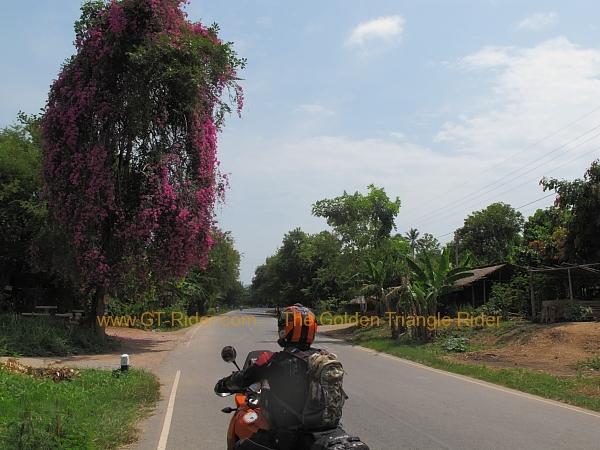 route-1091-nan-chiang-muan-001.jpg