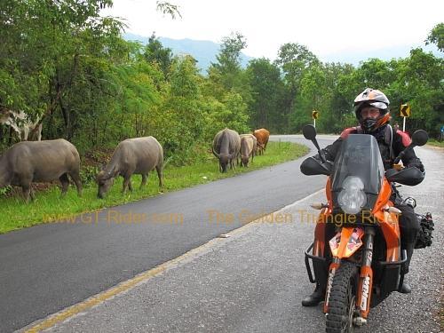 route-1234-kiu-sataa-doi-mae-salong-002.jpg