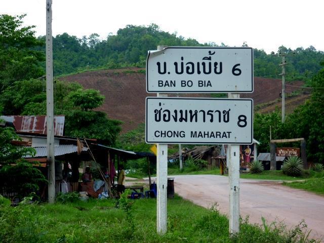 Salli.jpg