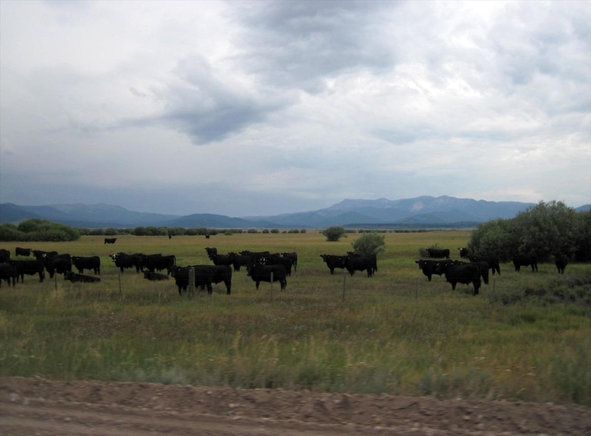 SalmonIdahoToWestYellowstoneWyoming_039.jpg