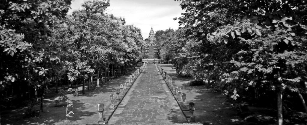 SANY0103.jpg