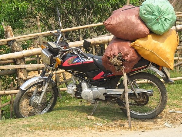 sapa-097.jpg