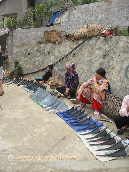 sapa-bacha-hanoi-066.jpg