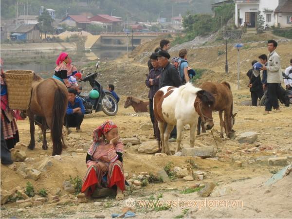 sapa-bacha-hanoi-071.jpg