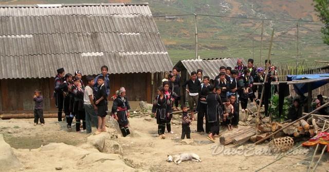 sapa12.jpg
