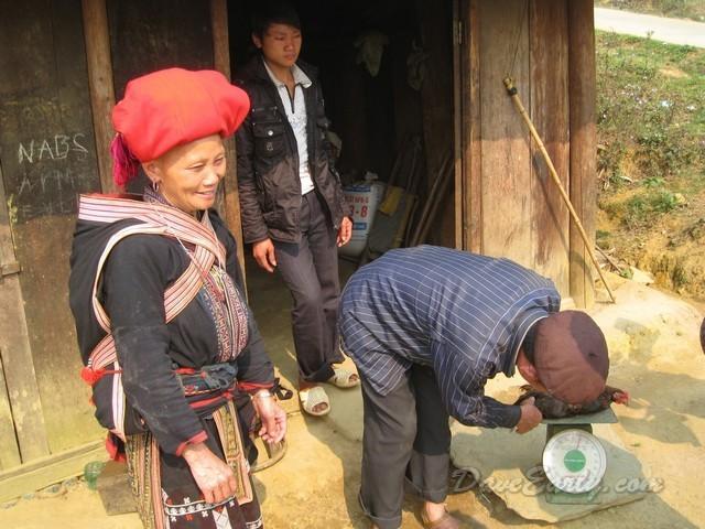 sapa3.jpg