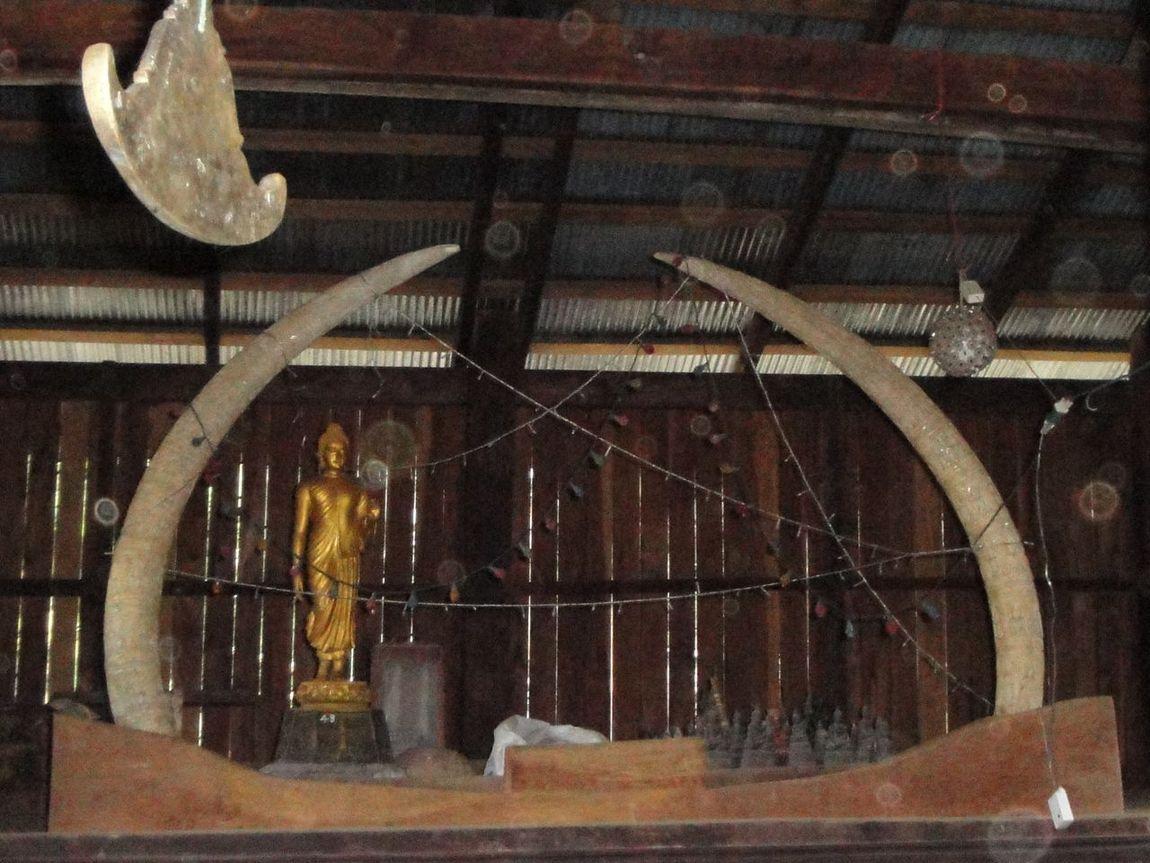 shrine.jpg