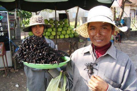 skuon-fried-spiders-tarantula.jpg