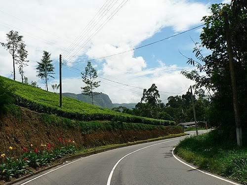 srilanka12.jpg
