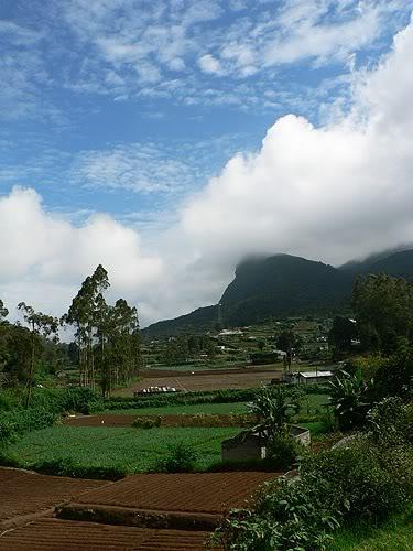 srilanka15.jpg