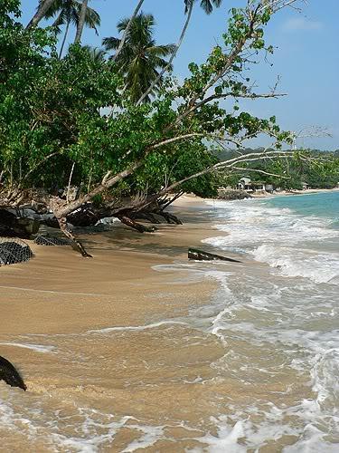 srilanka49.jpg
