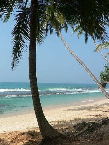 srilanka54.jpg