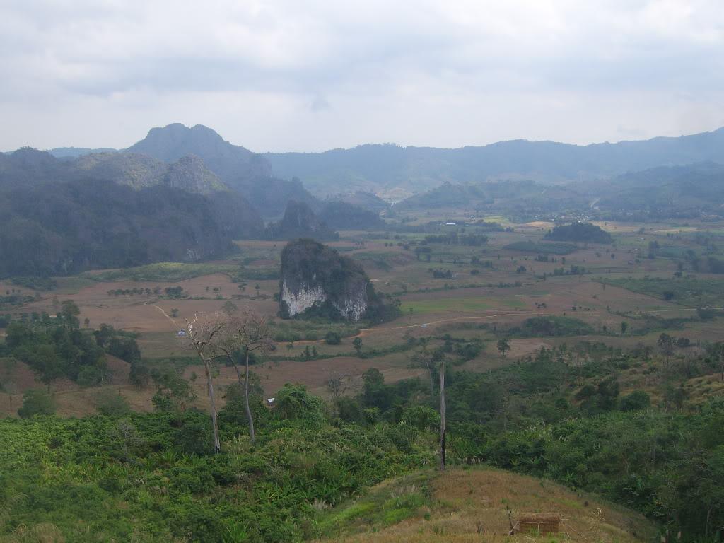 SV101614.jpg
