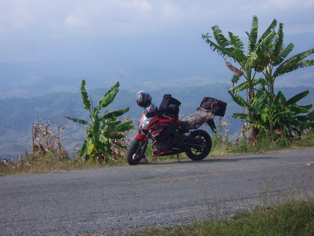 SV101629.jpg