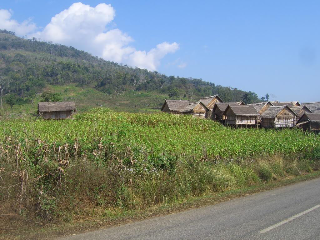 SV101762.jpg