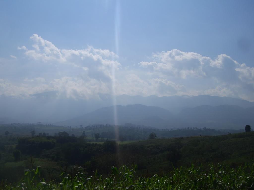 SV101765.jpg