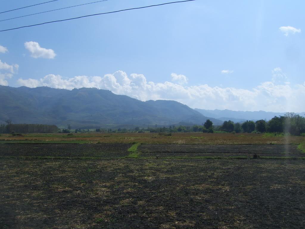 SV101779.jpg