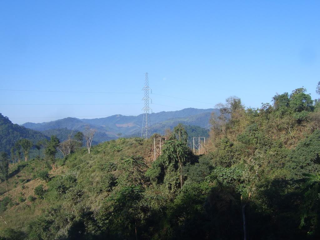 SV101795.jpg