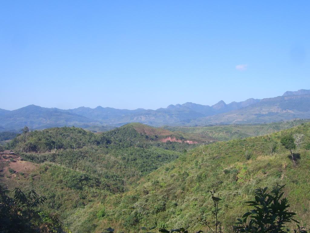 SV101804.jpg