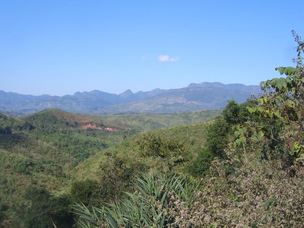 SV101810.jpg