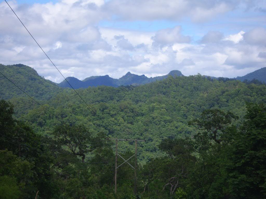 SV108433.jpg