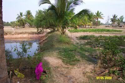 Takeo-garden-water.jpg