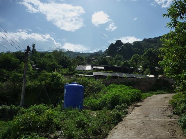 temple15.jpg