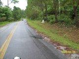 th_100_3024.jpg