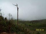 th_100_3054-1.jpg